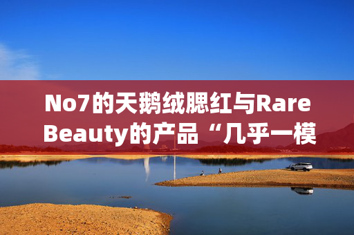 No7的天鹅绒腮红与Rare Beauty的产品“几乎一模一样”，但便宜10英镑