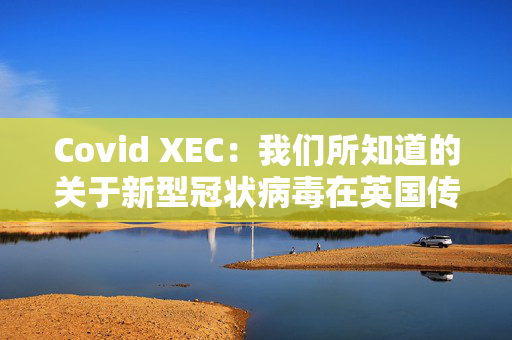 Covid XEC：我们所知道的关于新型冠状病毒在英国传播的一切