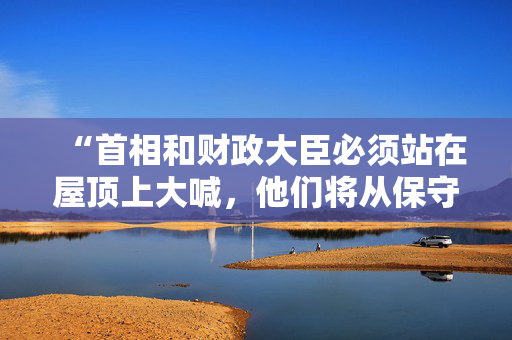 “首相和财政大臣必须站在屋顶上大喊，他们将从保守党的混乱中建设更好的英国。”