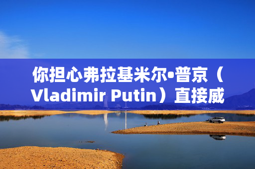 你担心弗拉基米尔•普京（Vladimir Putin）直接威胁英国吗？参加我们的投票，发表你的意见