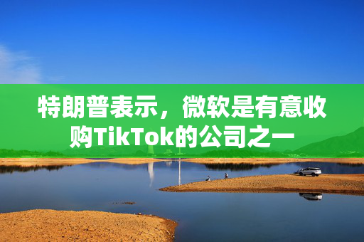 特朗普表示，微软是有意收购TikTok的公司之一