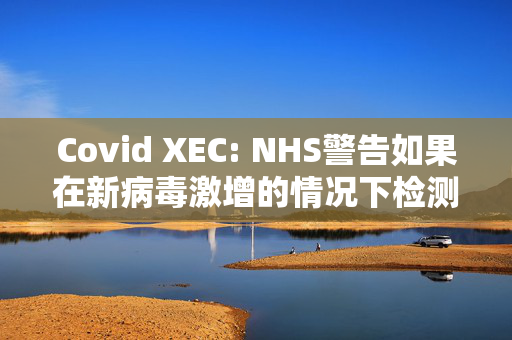 Covid XEC: NHS警告如果在新病毒激增的情况下检测呈阳性该怎么办