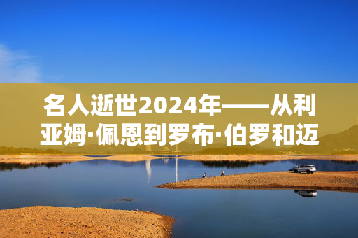 名人逝世2024年——从利亚姆·佩恩到罗布·伯罗和迈克尔·莫斯利，名人的面孔都不见了