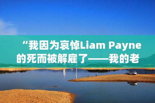 “我因为哀悼Liam Payne的死而被解雇了——我的老板告诉我要成熟点。”