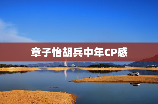 章子怡胡兵中年CP感