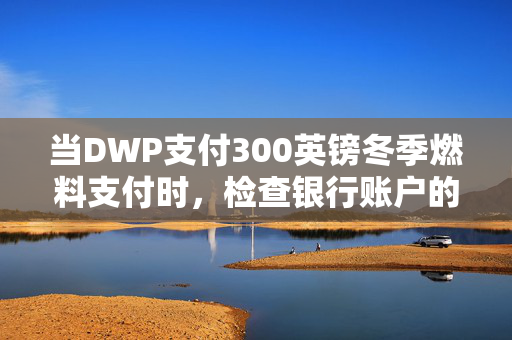 当DWP支付300英镑冬季燃料支付时，检查银行账户的确切代码