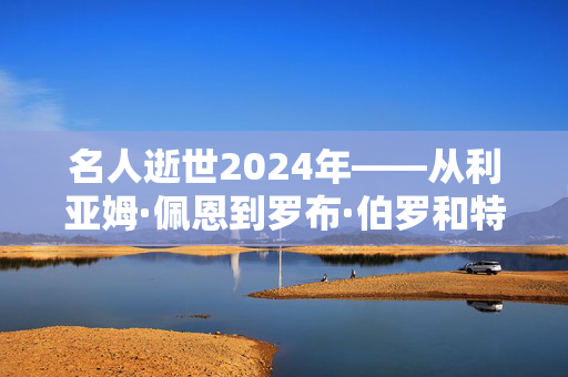 名人逝世2024年——从利亚姆·佩恩到罗布·伯罗和特雷弗·索尔比，名人的面孔都不见了