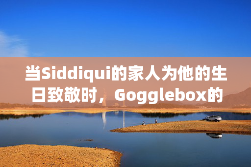 当Siddiqui的家人为他的生日致敬时，Gogglebox的粉丝们拒绝相信Sid的年龄