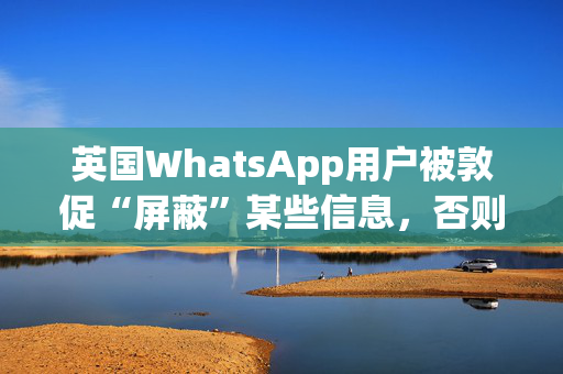 英国WhatsApp用户被敦促“屏蔽”某些信息，否则可能会付出沉重的代价