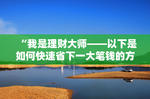 “我是理财大师——以下是如何快速省下一大笔钱的方法。”