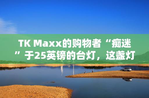 TK Maxx的购物者“痴迷”于25英镑的台灯，这盏灯“表明了自己的立场”