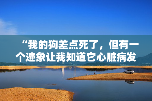 “我的狗差点死了，但有一个迹象让我知道它心脏病发作了。”