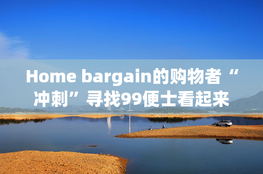 Home bargain的购物者“冲刺”寻找99便士看起来“如此可爱”的配饰