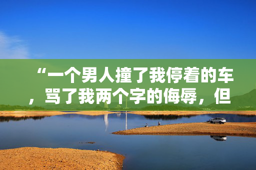 “一个男人撞了我停着的车，骂了我两个字的侮辱，但又说那是我的错。”