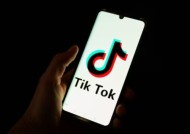 TikTok因删除“解放巴勒斯坦”评论而受到审查