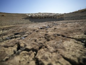 地球上的土地正在干涸。各国正试图在本周的会谈中解决这一问题